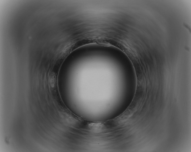 X0000091730133200708311211