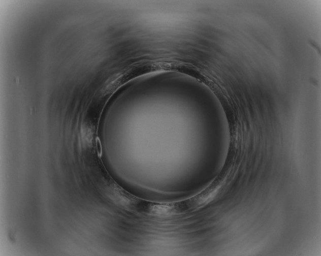 X0000091730139200708311211