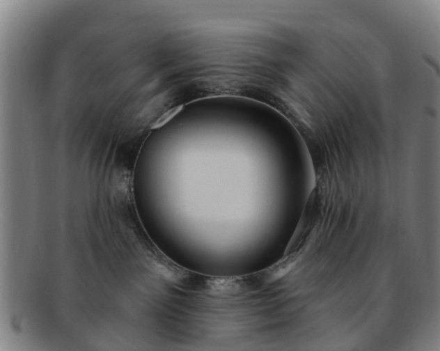 X0000091730141200708311210