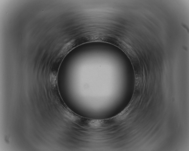 X0000091730142200708311210