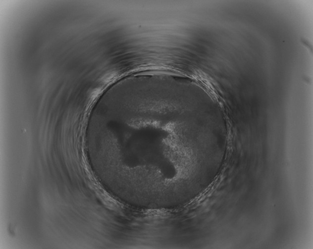 X0000091730145200708311210