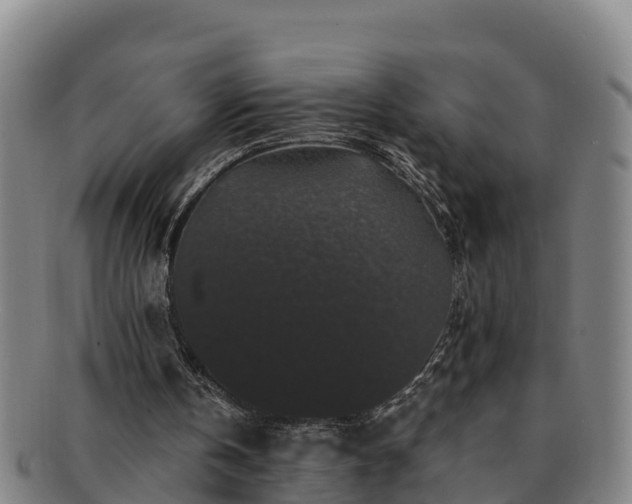 X0000091730146200708311210