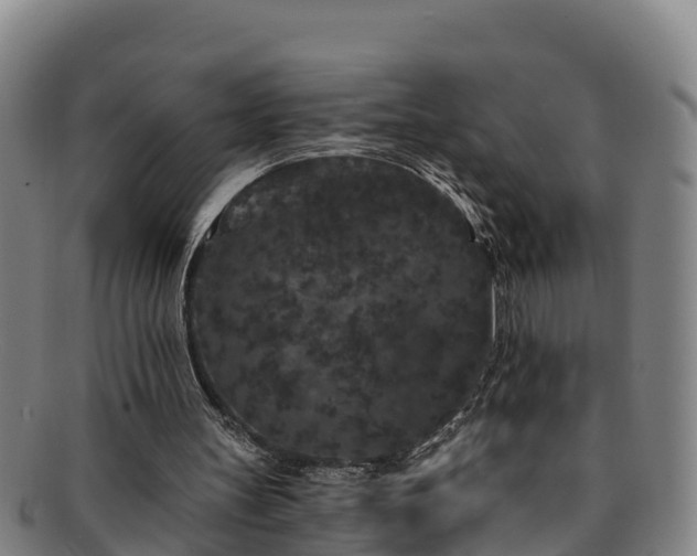 X0000091730147200708311210