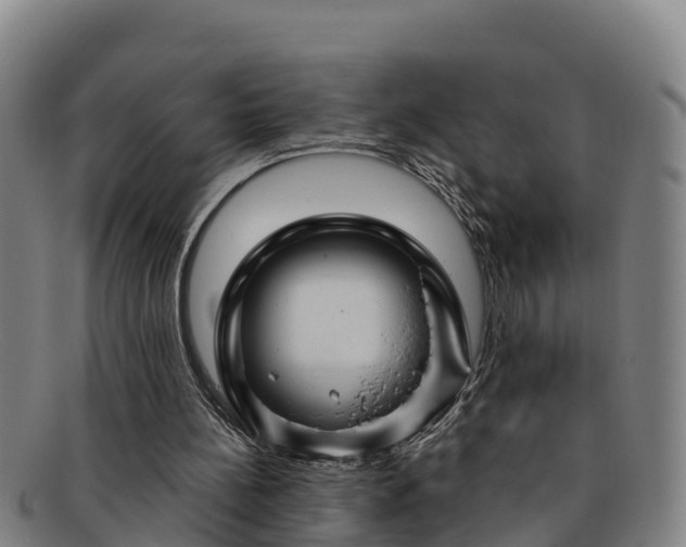 X0000091730148200708311210