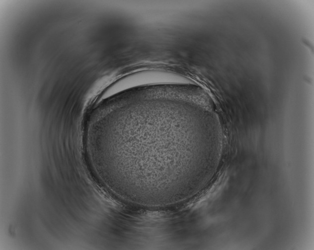 X0000091730149200708311210