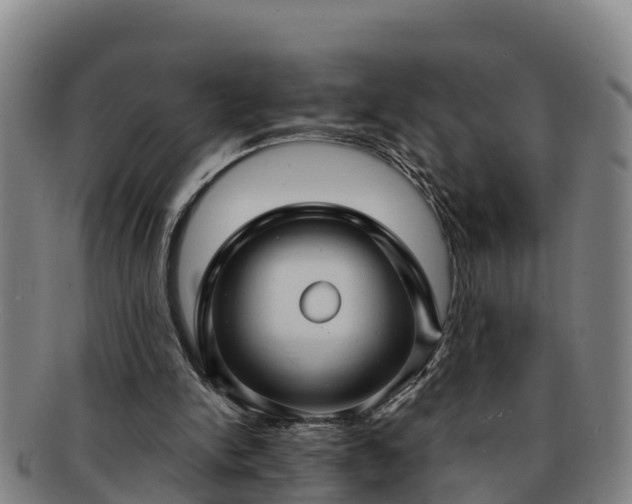 X0000091730150200708311210