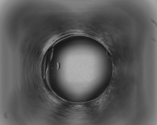 X0000091730151200708311210