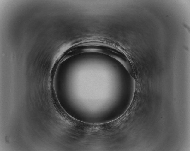 X0000091730152200708311210