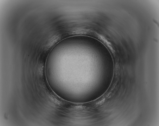 X0000091730153200708311210