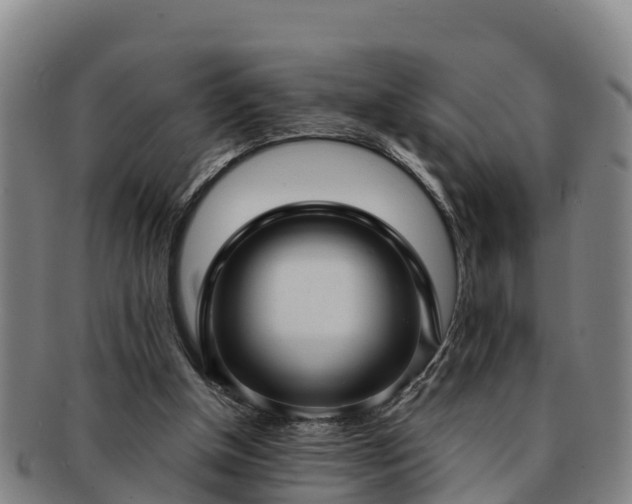 X0000091730154200708311210