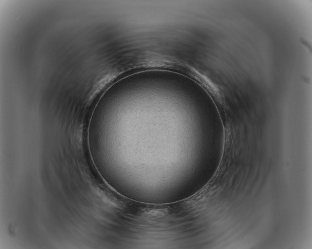 X0000091730155200708311210