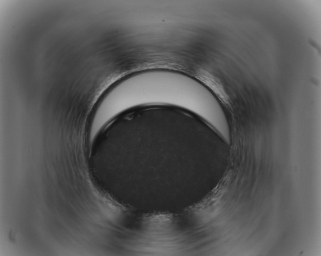 X0000091730156200708311210