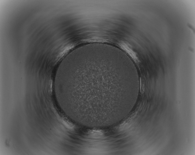 X0000091730157200708311210