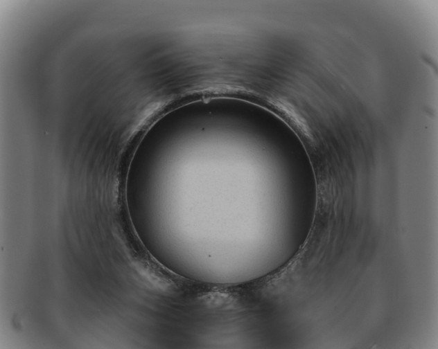 X0000091730159200708311210