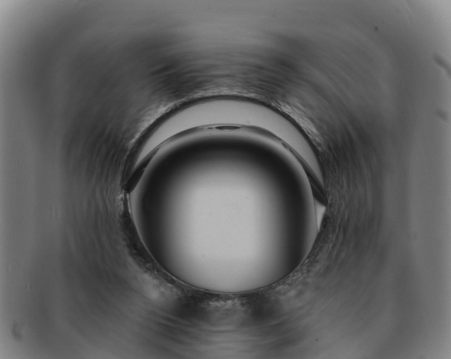 X0000091730160200708311210