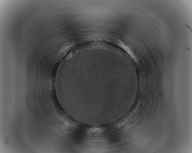 X0000091730161200708311210