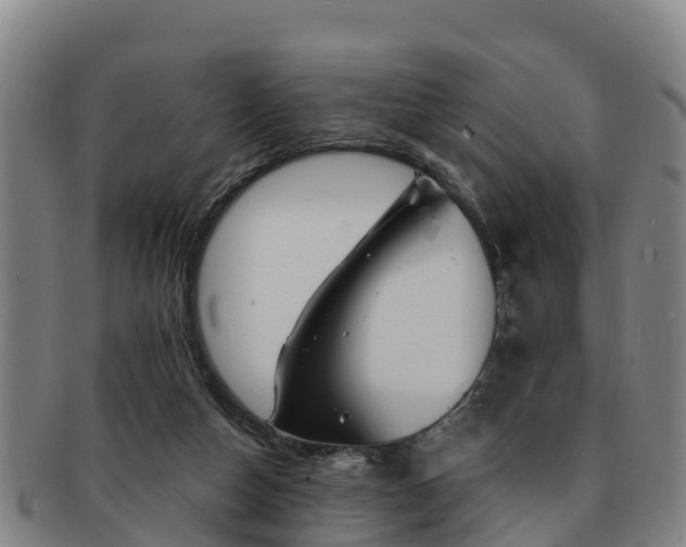 X0000091730162200708311210