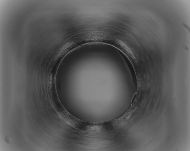 X0000091730163200708311210