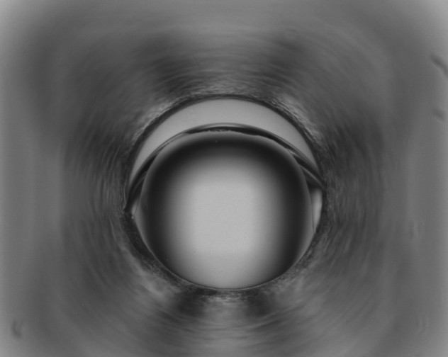 X0000091730164200708311210