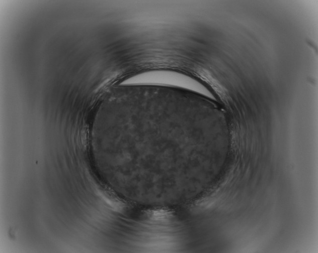 X0000091730165200708311210