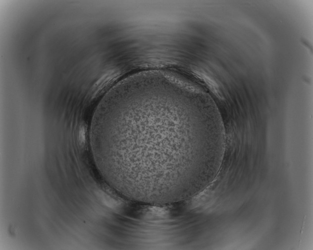 X0000091730166200708311210