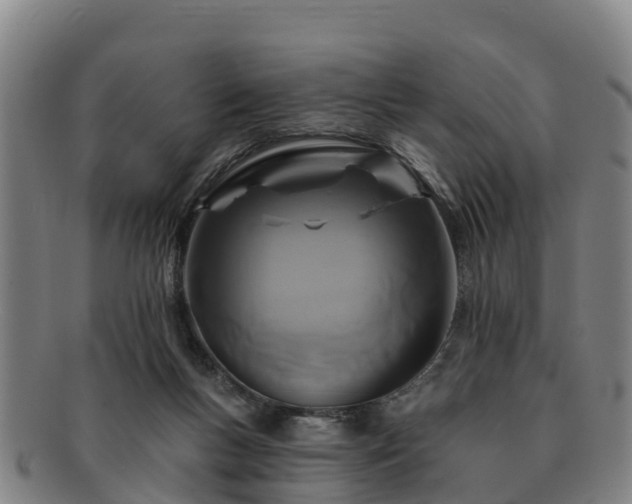 X0000091730167200708311210