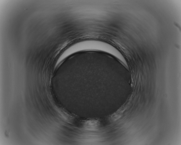 X0000091730168200708311210