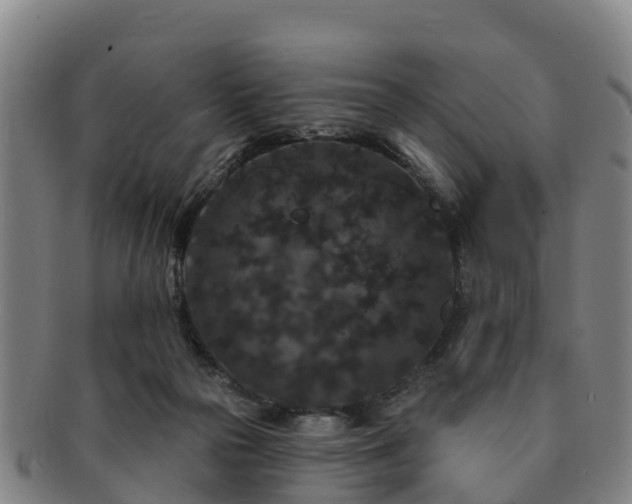 X0000091730169200708311210