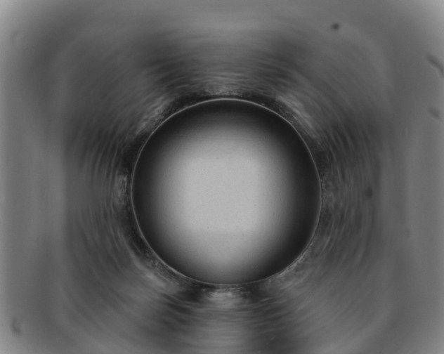 X0000091730171200708311210