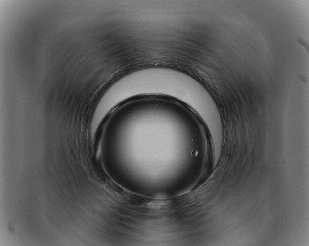 X0000091730172200708311210