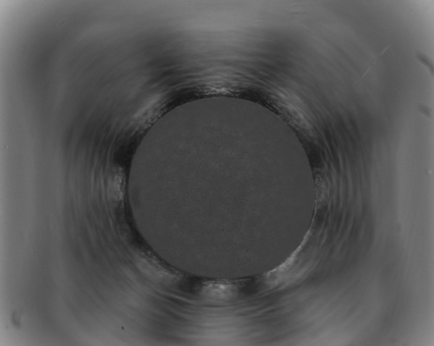 X0000091730174200708311210