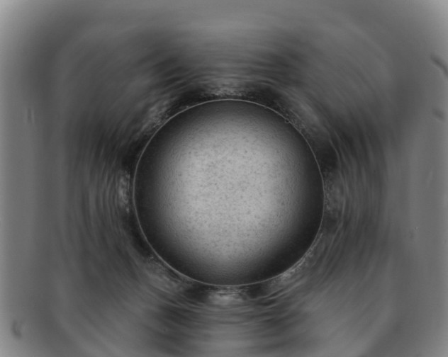 X0000091730175200708311210