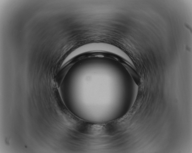 X0000091730176200708311210