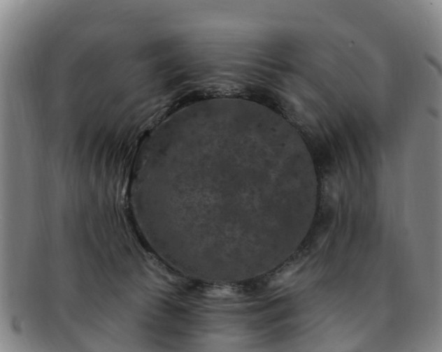 X0000091730177200708311210