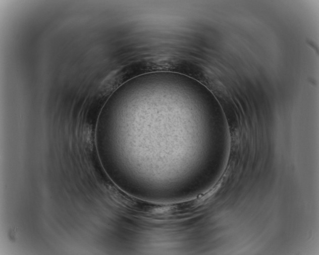 X0000091730178200708311210