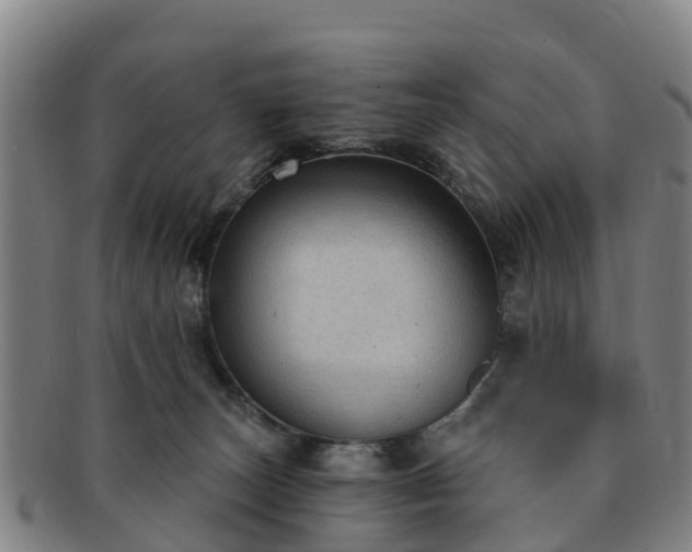 X0000091730179200708311210