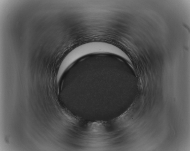 X0000091730180200708311210