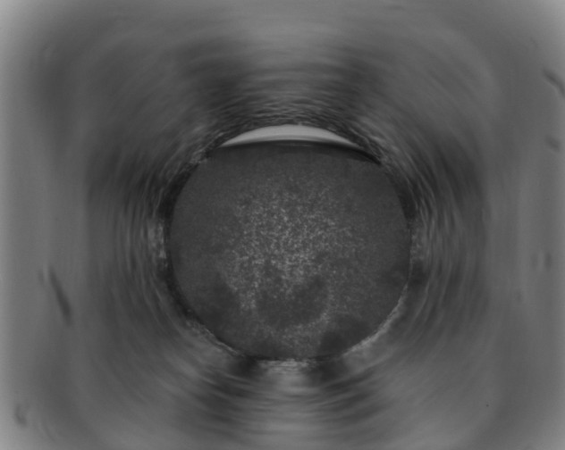 X0000091730182200708311210