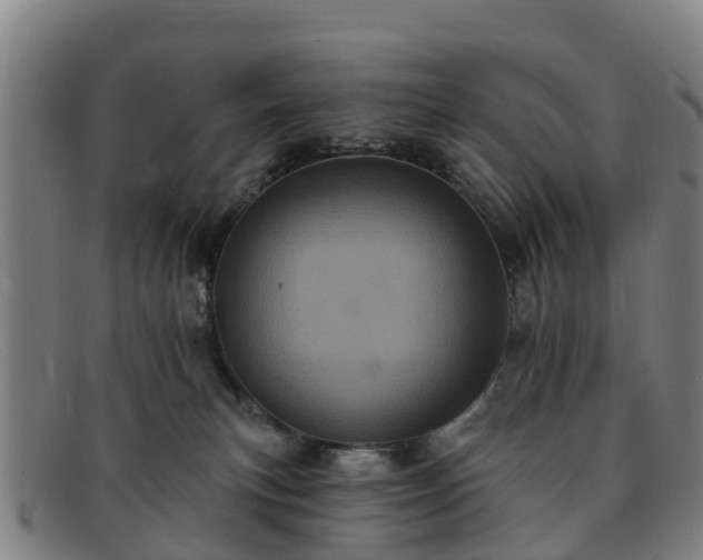 X0000091730183200708311210