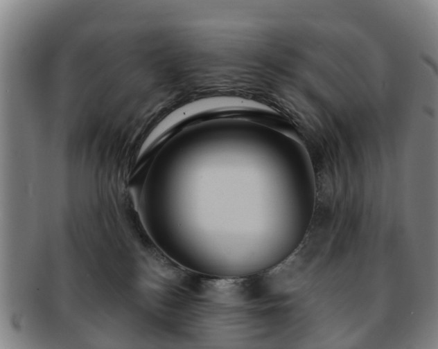 X0000091730184200708311210