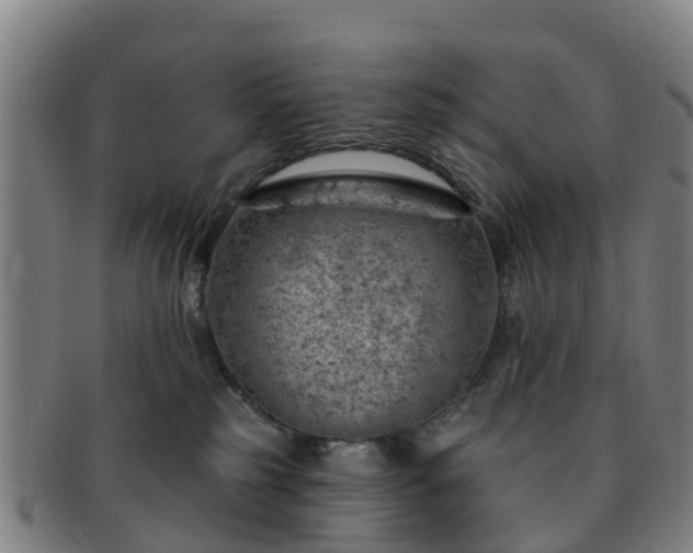 X0000091730185200708311210