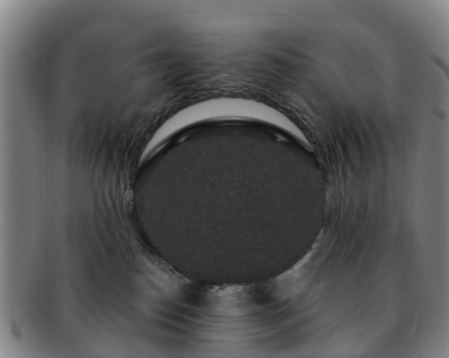 X0000091730186200708311210