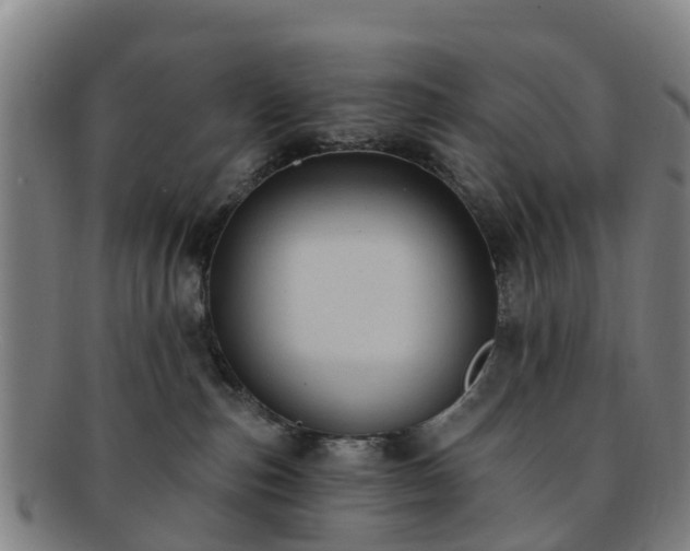 X0000091730187200708311210