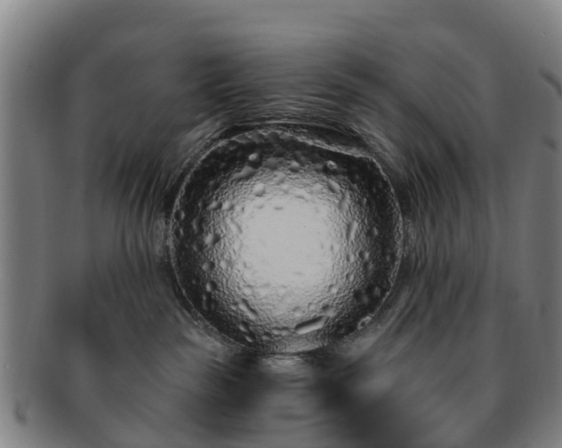 X0000091730189200708311210