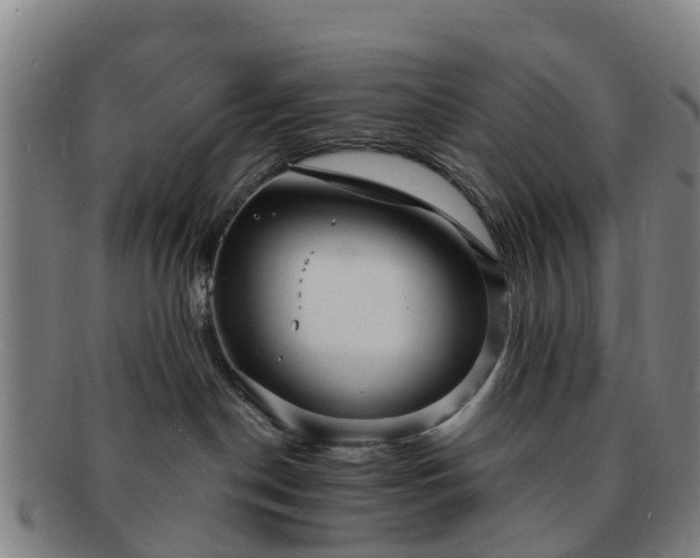 X0000091730190200708311210