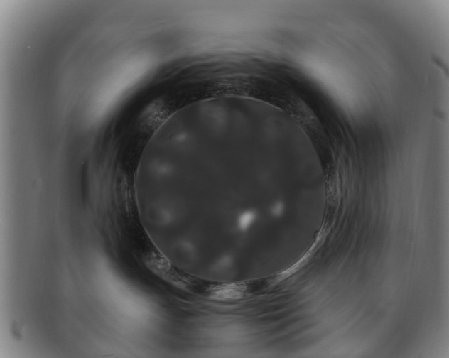 X0000091730191200708311210