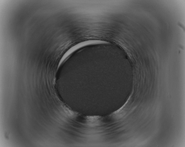 X0000091730192200708311210