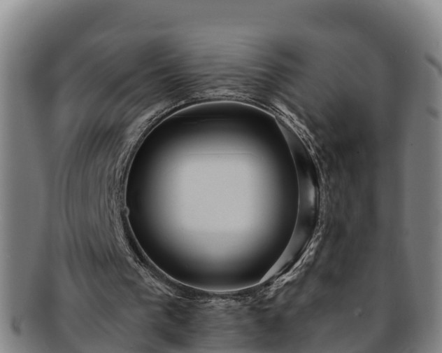 X0000091730193200708311210