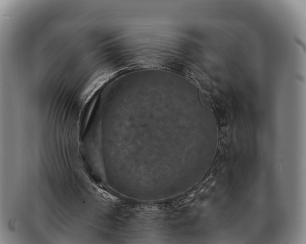 X0000091730194200708311210