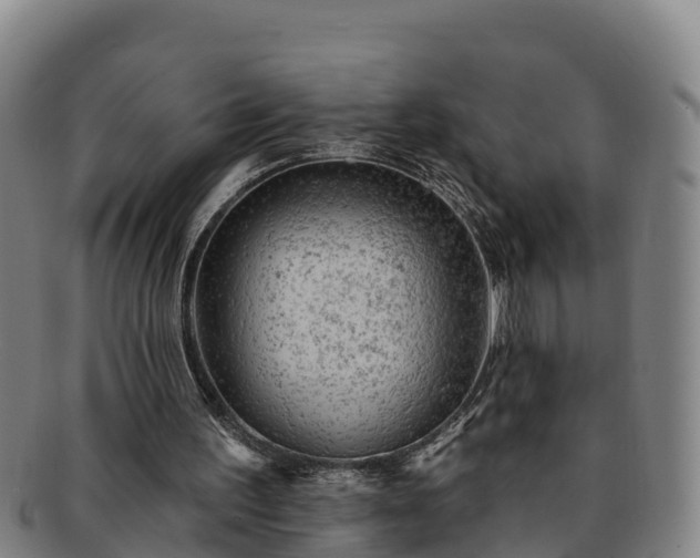 X0000091730195200708311210